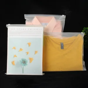 Transparent Biodegradable Bottom Gusset Bag for Clothing Large Tshirt Matte/Frosted Packaging with Zip for Shoes and Socks