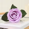 สีม่วง