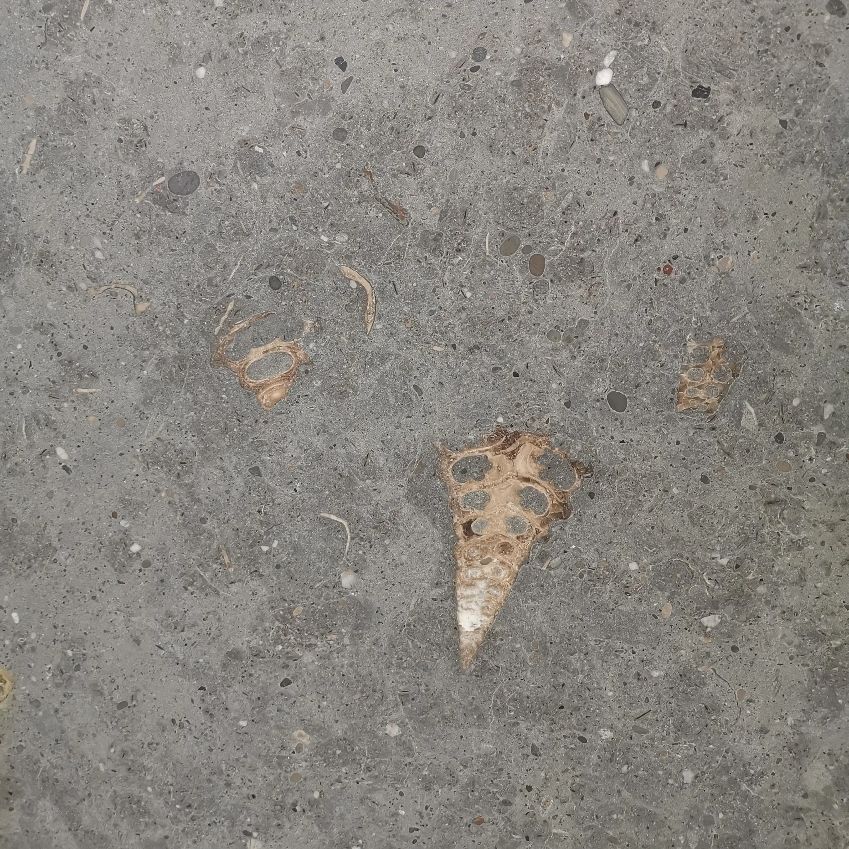 product paiastone high quality grey limestone slab modern design style brushed tile villa exterior outdoor floor paving honed split-5