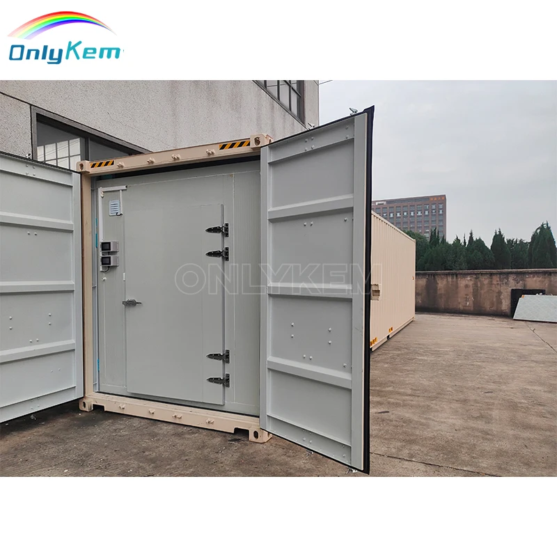 Cooling Container Freezer Container Walk in Freezer Cooler Room for Sale