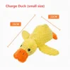 Charge Duck (small size)
