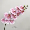Striped pink