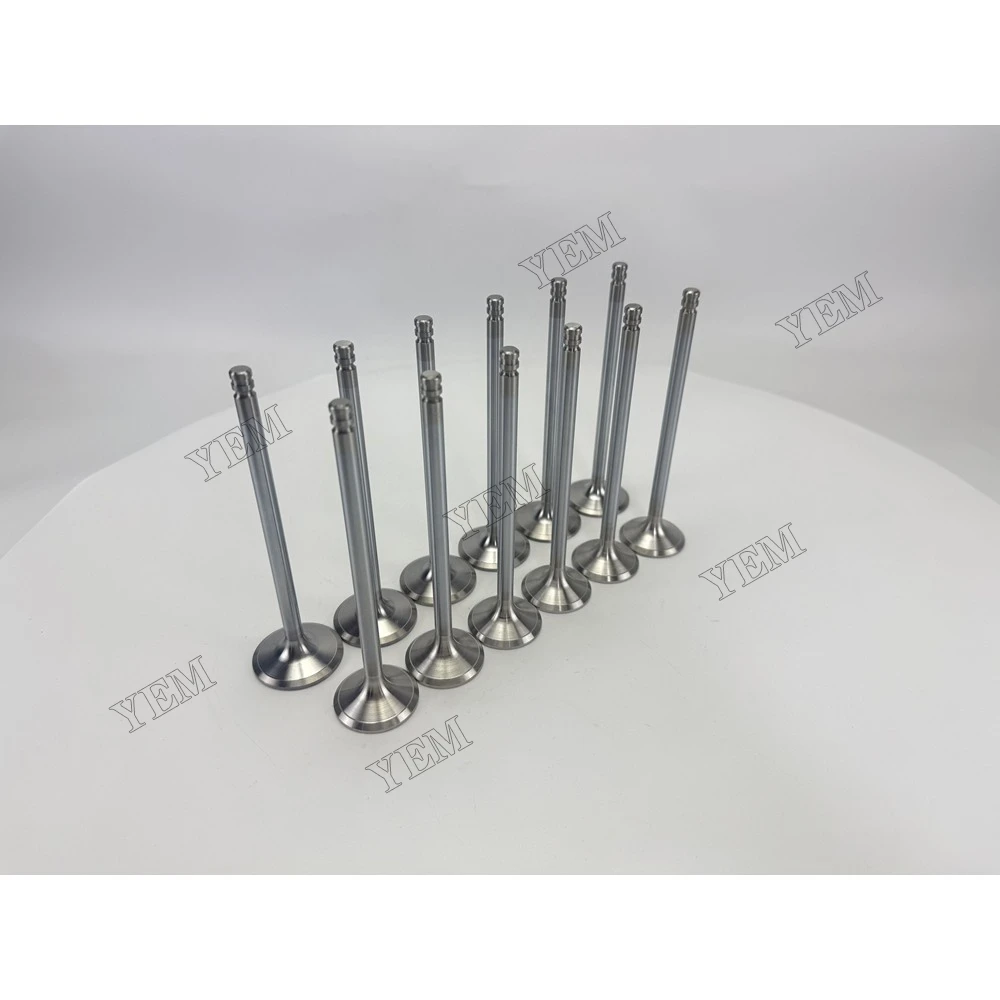 Extra Durable 8192143 3825723 for Intake and Exhaust Valves TD640VE 5