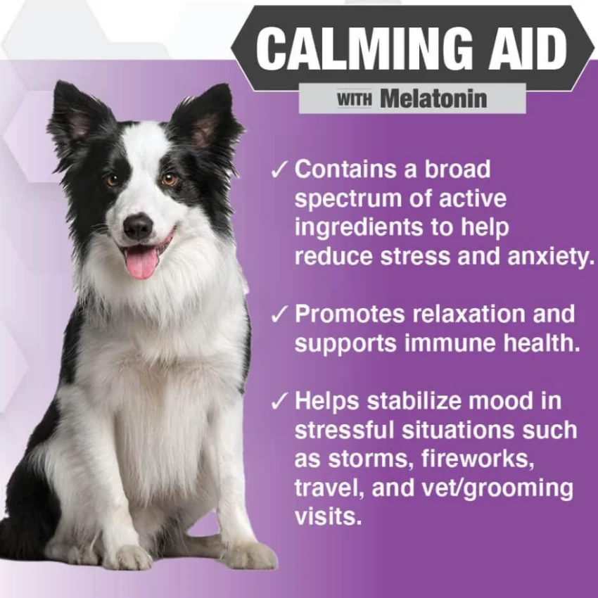 Pet Nutritional Supplement Dog Calming Chews Treats With Anxiety And