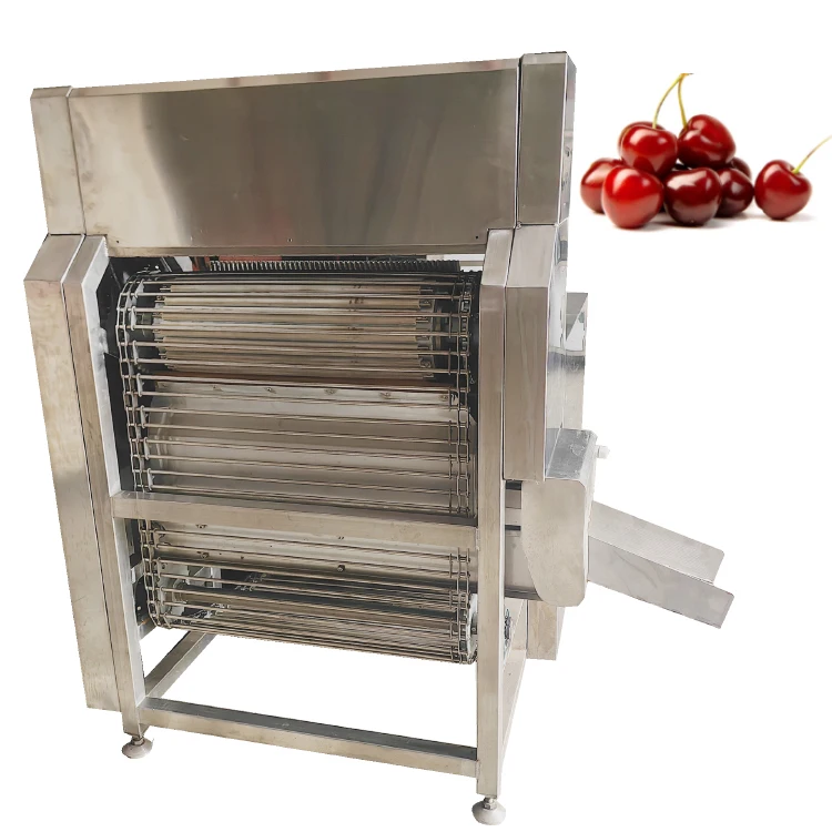 Kernel Machine Extractor Brand new Cherry Pit Extractor Sanitary Fruit Processing Equipment ...