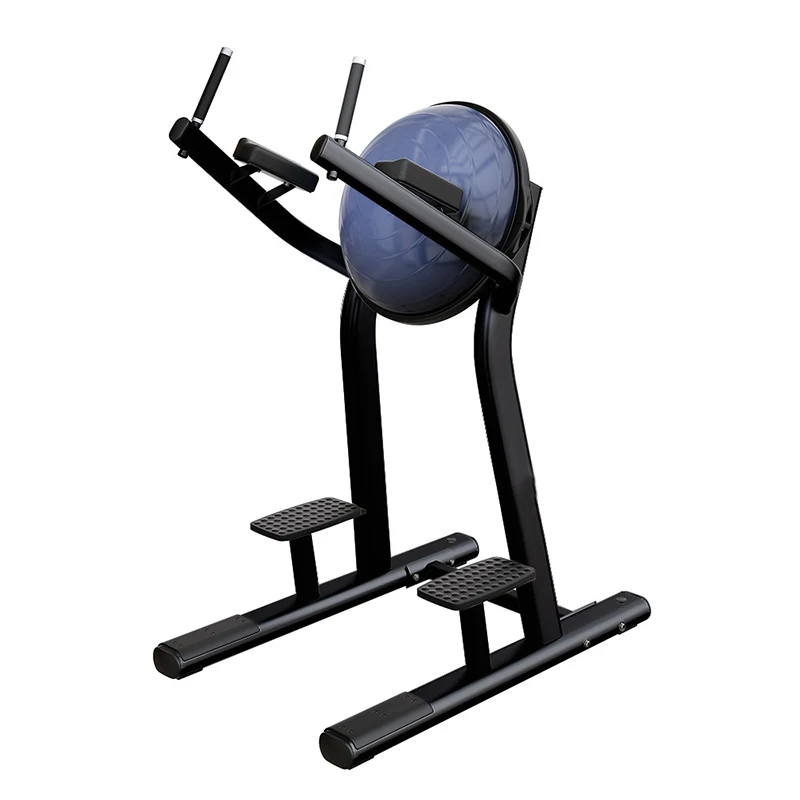 Leg raise machine with bosu ball sale