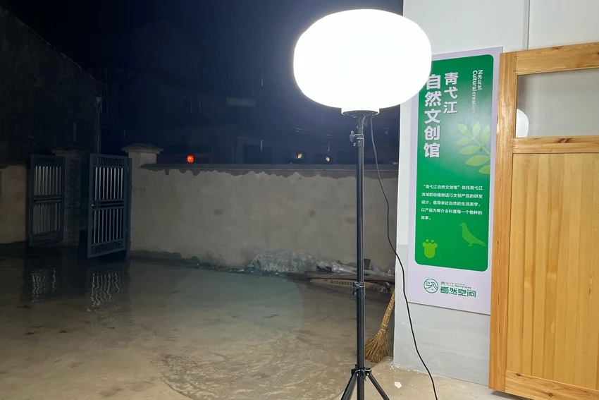 Most Portable 60W LED Balloon Light Tower Cheap Price