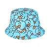 Blue ducks
