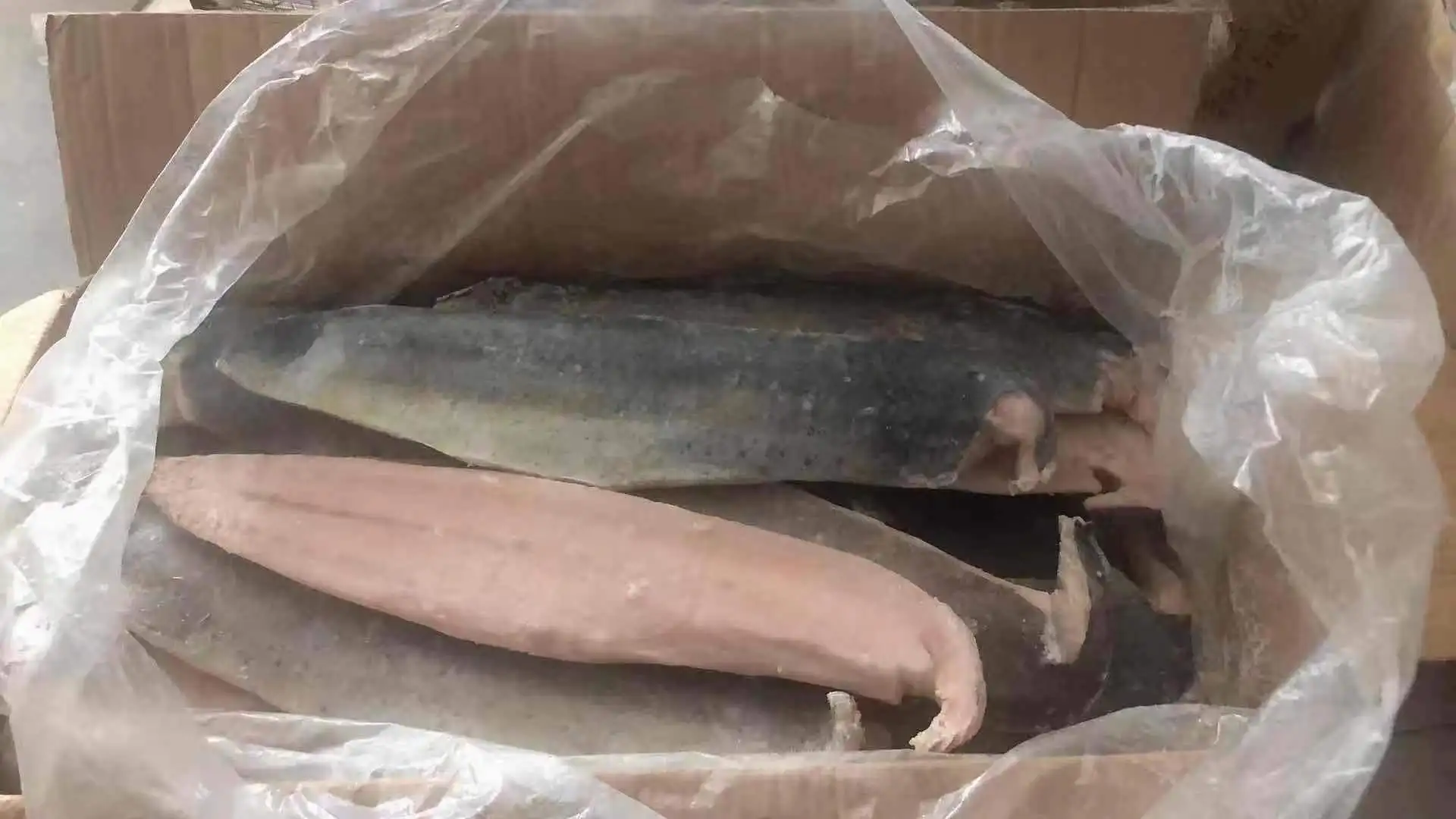 Seafood Mahi Mahi Fish Fillet/mahi Mahi Fish/frozen Mahi Mahi Buy