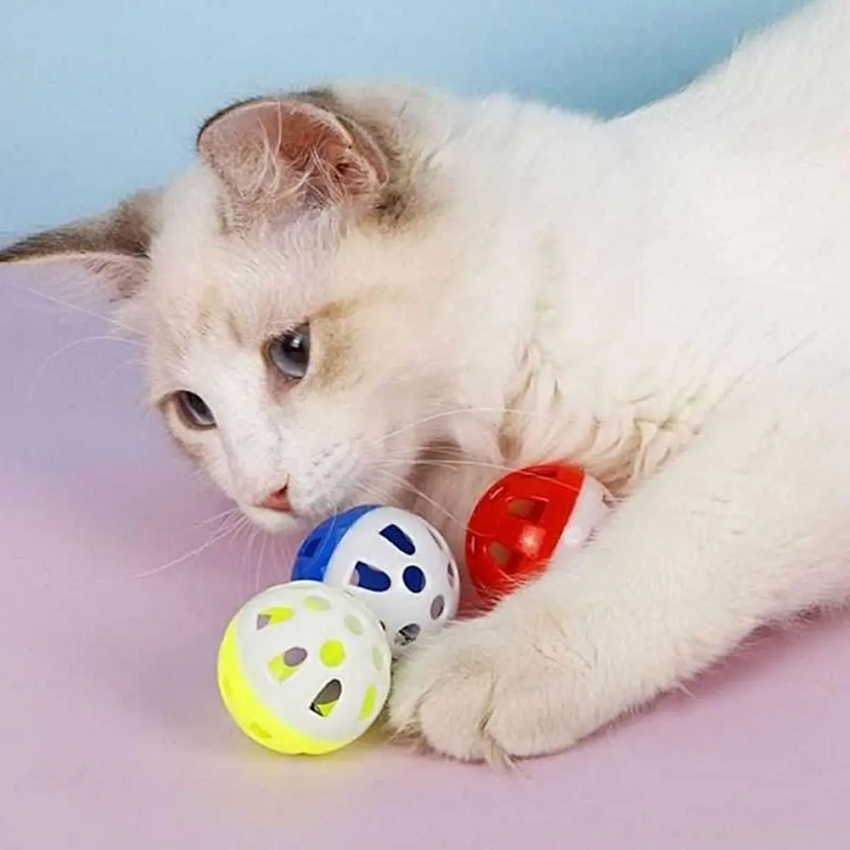 Hollow Plastic Cat Interactive Training Chase Ball Tease Toys With