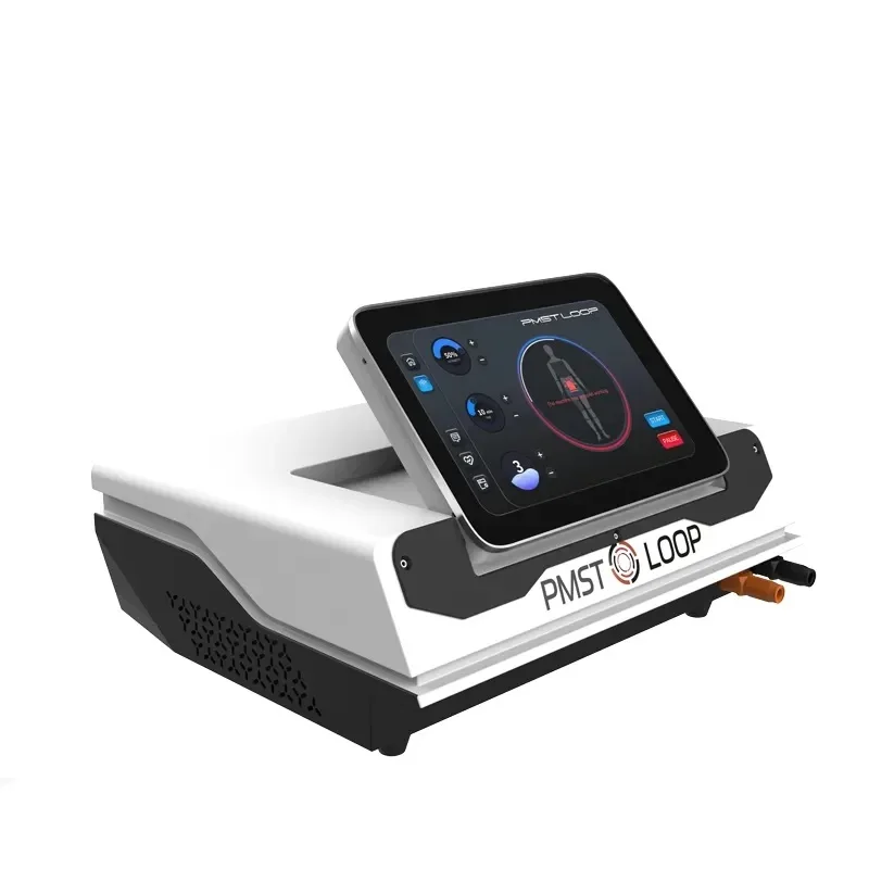 Human Body Physio Magneto 2 in 1 PEMF LOOP Magnetotherapy Machine Pulse Magnetic Machine With Horse Use Interface System