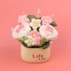 ไล่สีชมพูนู้ด-หลอดกุหลาบ (lifeBasin)