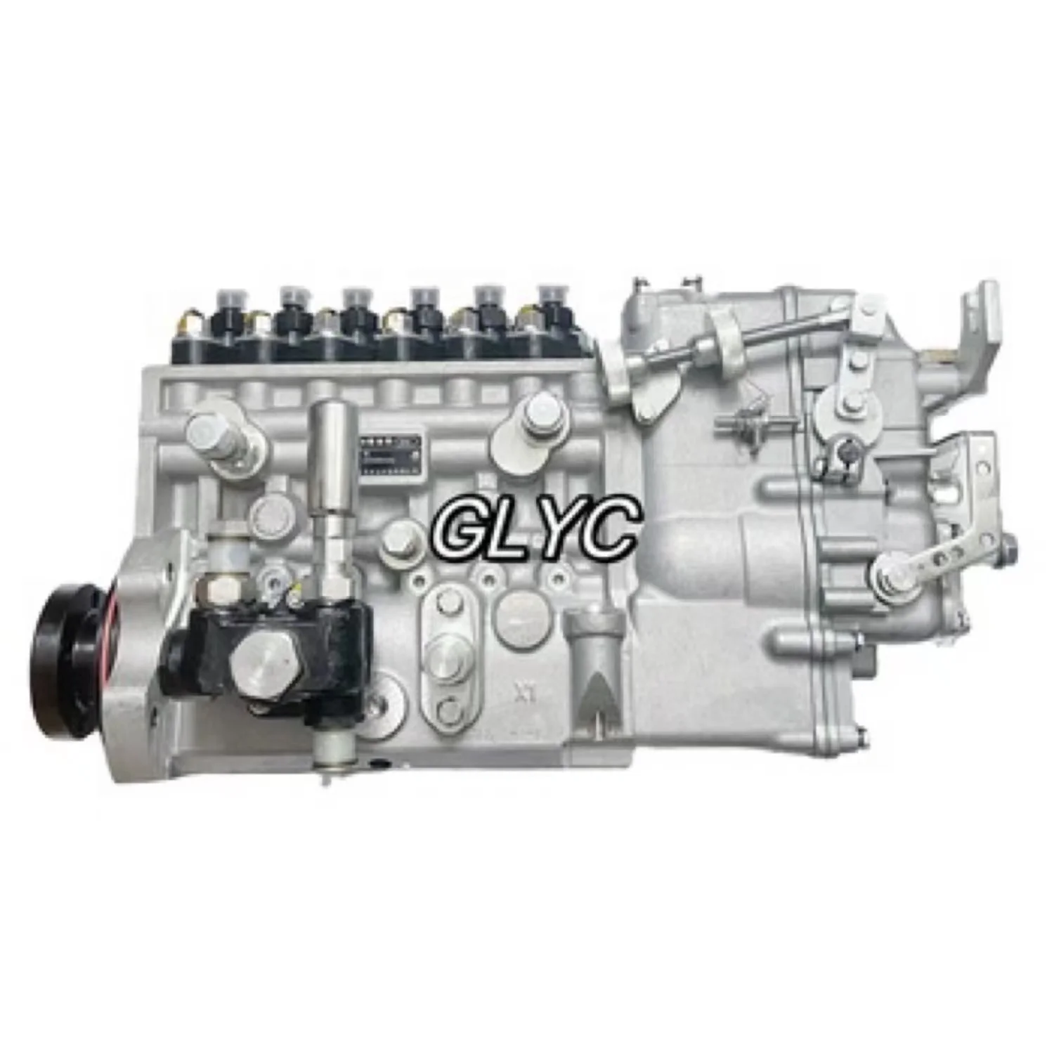 Genuine LONGKOU Diesel Fuel Injection Pump 20516Z Fuel Pump BHT6P120R