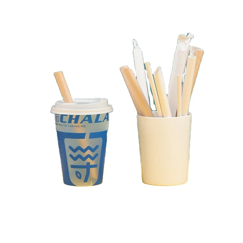 Shop Straws in Bulk: Paper, Plastic, & Reusable