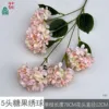 Hortensia Candy de 5 cabezas HN Champagne Pink sin hojas