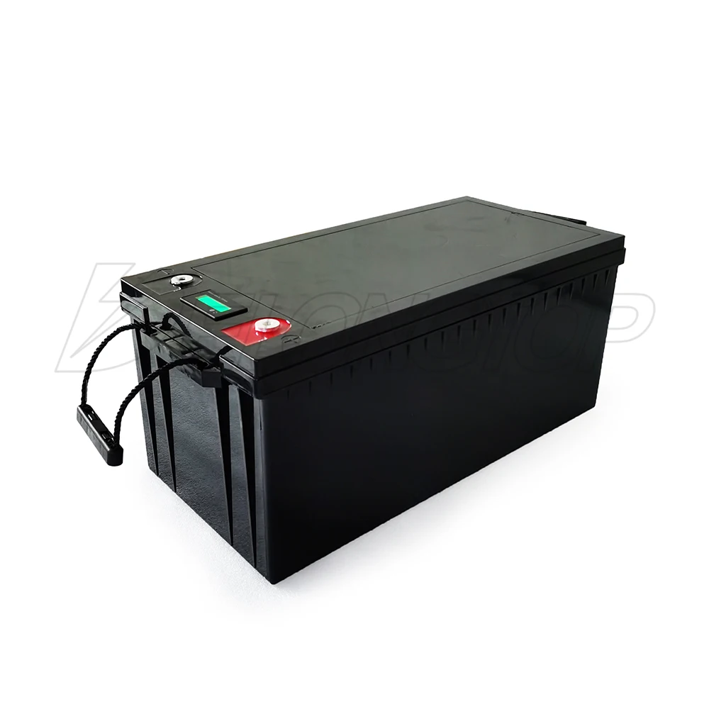 Lifepo4 Lithium Battery 24V 100ah Sealed Deep Cycle Storage Battery