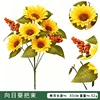 Paquete de girasoles