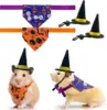 Set (slug bat + pull flag + hat + triangle scarf + small collar)