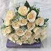 Champagne color