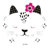 Gatto