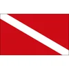 H10C