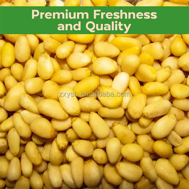 Chinese Raw Organic Pine Nuts Kernel In Shell Vs For Sale Prices Of