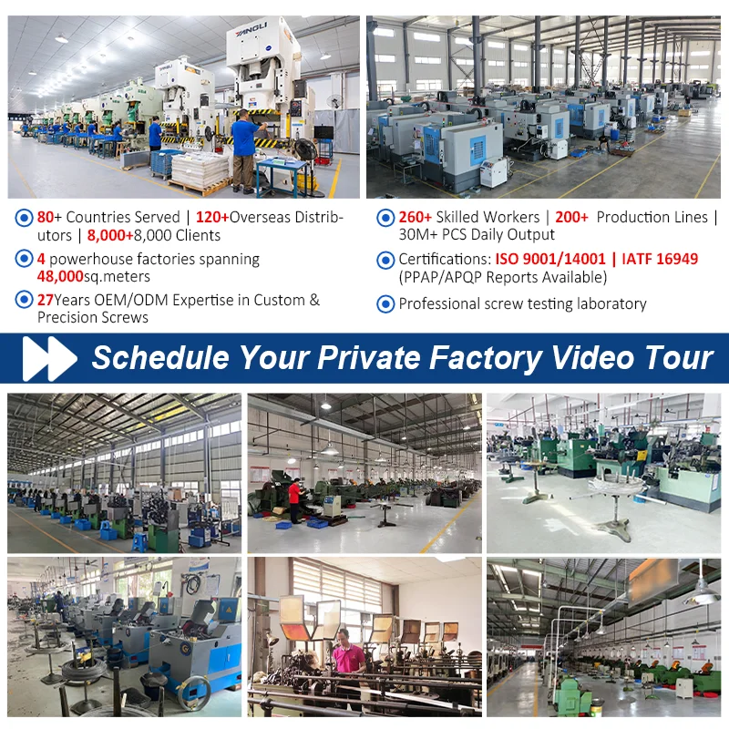Machine Thread Screw and Manufacturer Fastener Nickel Plated Phillips Cross Recessed Drive Pan Head Iron Carbon Steel Screws