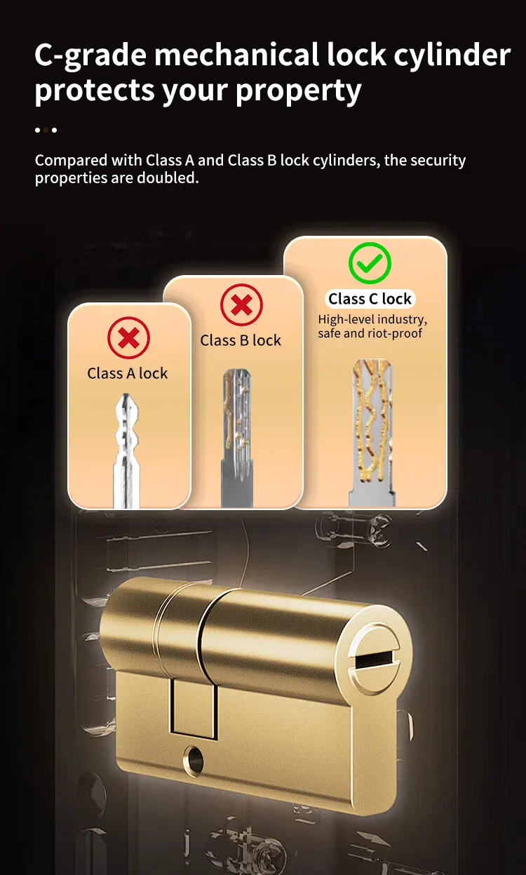 CEQSAFE Factory Wholesale Intelligent Fingerprint Lock Cabinet Face Recognition TUYA APP Safe Box for Home Use supplier