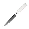 Steak knife