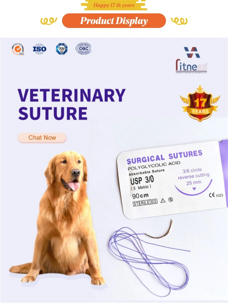 Suture Kit 10 Animal Veterinary Suture Needle Surgical Needle