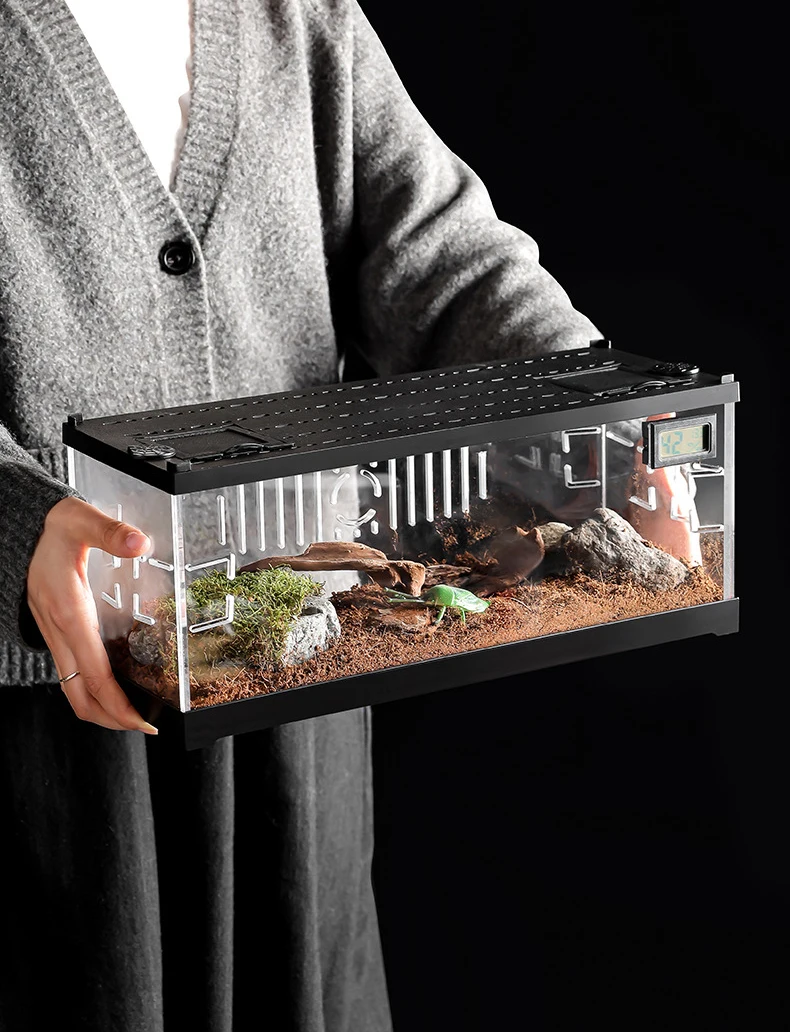 Plastic Reptile Terrarium Transparent Acrylic Reptile Display Reptile ...