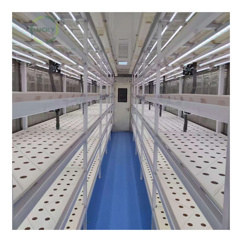 Mushroom Farming Smart Growing Container for Sale