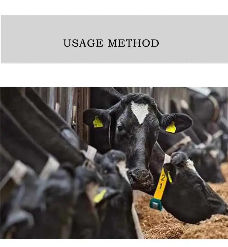 The 2024 New Custom Cattle Neck Collar a Digital Adjustable Neck Tag logo Designed Specifically for Cattle and Goat