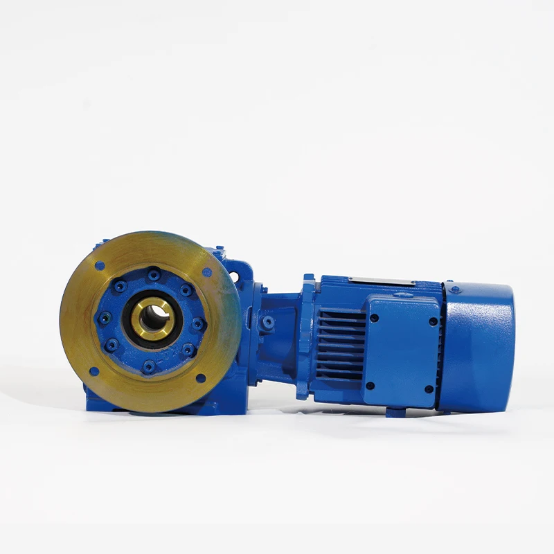 S Series Custom ODM Cast Iron Machinery Farm Industry Helical Speed Reducers Complete Model Range Worm Gear Reducers Gearbox