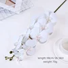 9 Phalaenopsis-white