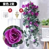 Tenture murale rose violette 0100