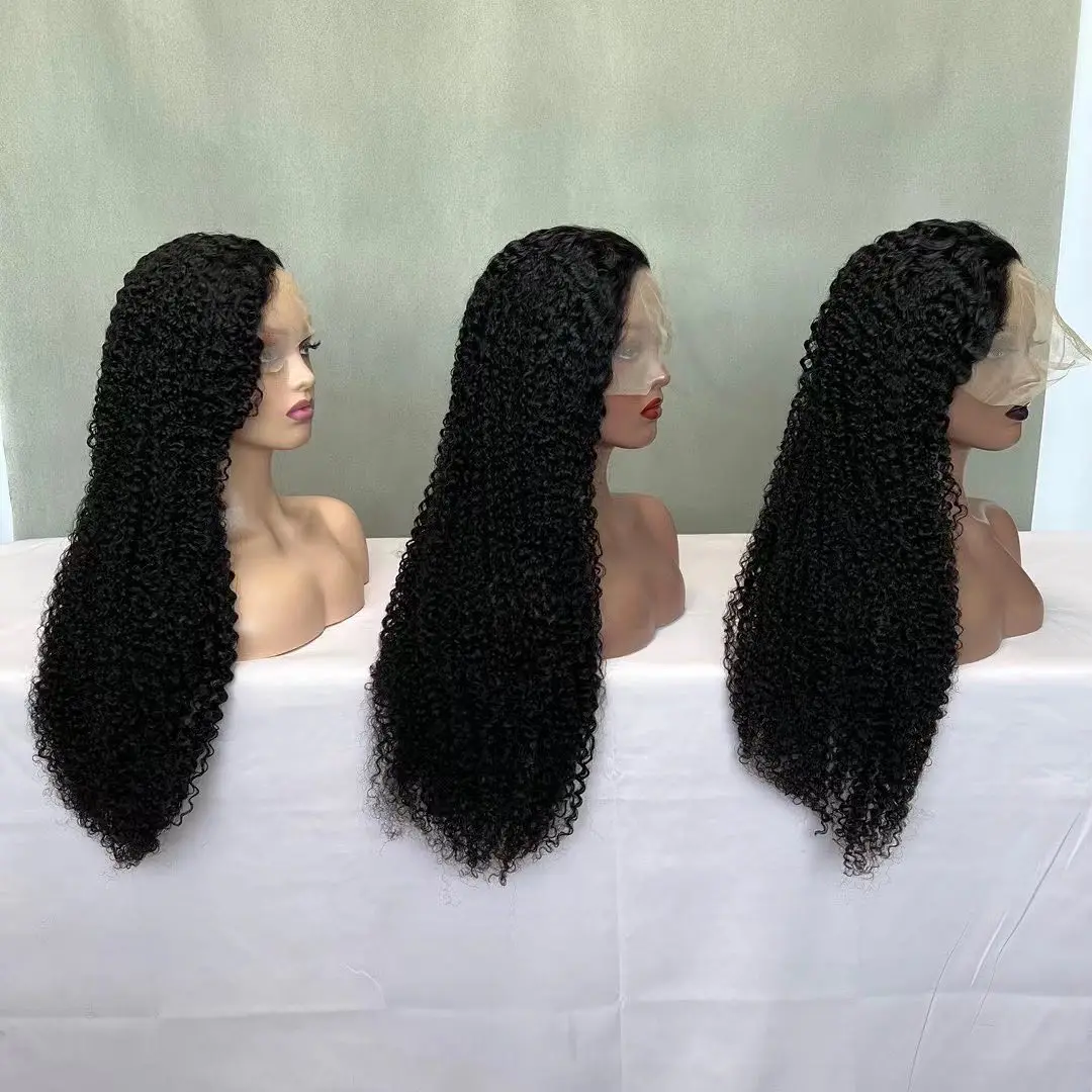 Glueless Body Wave Hd Lace Front Wig Pre Pluck Virgin Human Hair Wigs Preplucked Hd Lace Closure