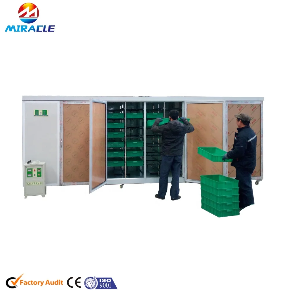 PLC Control Livestocks Hydroponics Fodder Growing Room to Produce Cow Green Feed