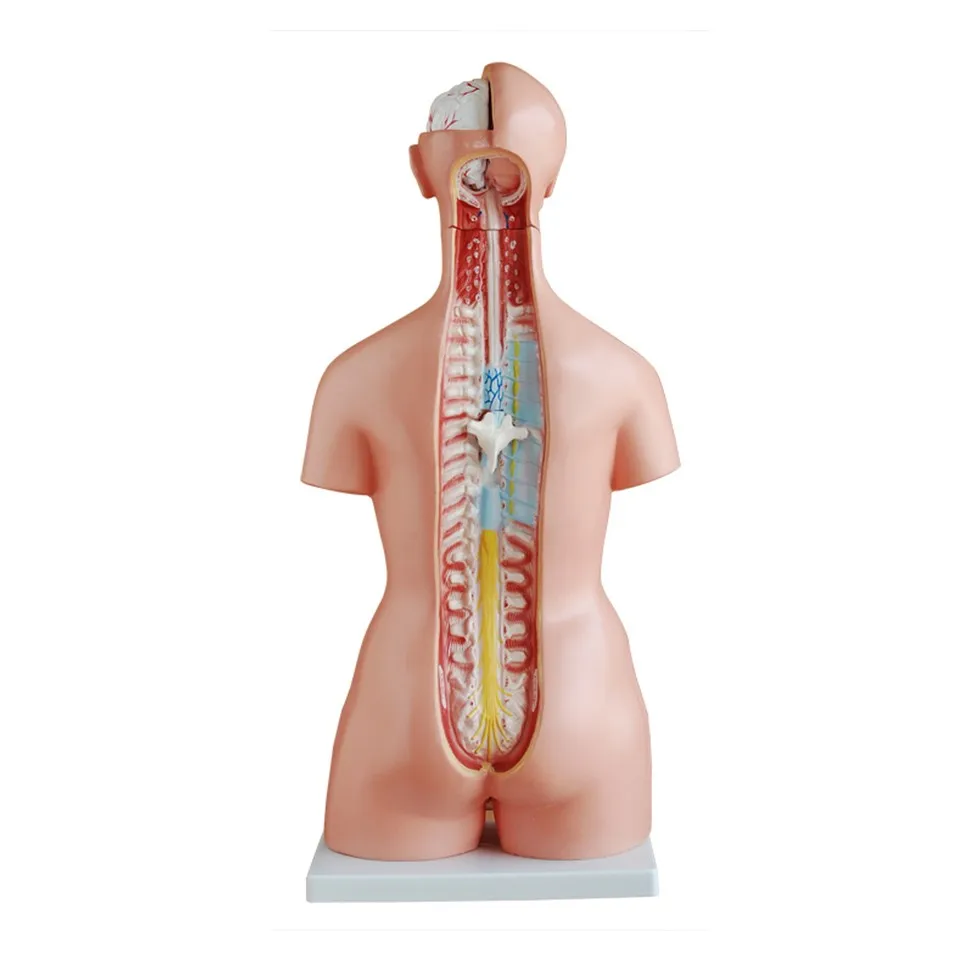 A deeply shared experience