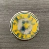 Pa-ER04-cers