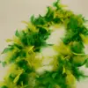 bicolore verde/giallo 45 grammi