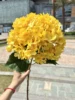 #11 yellow
