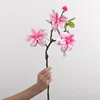 Magnolia del lago occidentale-rosa intenso-60 cm