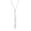 Silver color capricorn