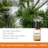 Olio essenziale di legno di cedro 10ml