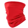 Pastèque rouge