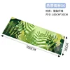 Tropical rainforest 06-30100cm