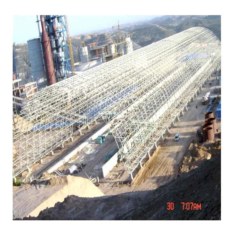Professional Design Steel Space Frame Structure Arched Roof Construction Structure