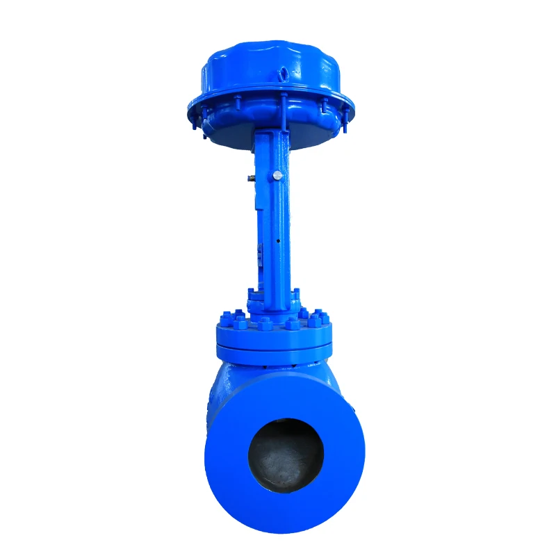Easy to Assemble and Disassemble Sturdy Control Valves Strong Applicability Cage Control Valve for Oil and Gas