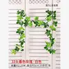 [White 1] 33-head rose vine